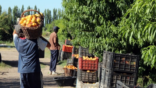 El Gobierno busca que los inmigrantes se instalen en provincias con mayor demanda laboral