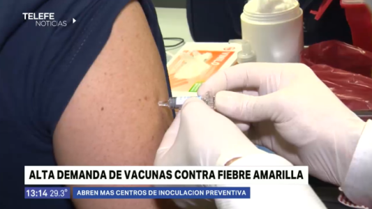 Fiebre amarilla: habilitan más centros de vacunación por la alta demanda