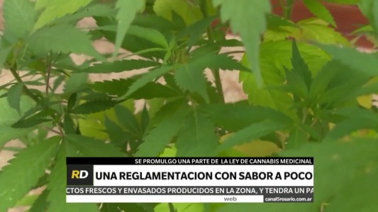 Ley de cannabis medicinal: insisten en la necesidad de que se apruebe el autocultivo