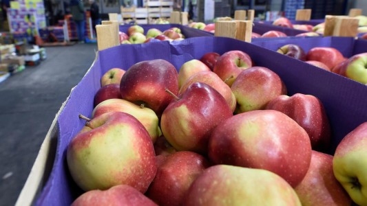 Del productor a la góndola: la brecha de precios se ubicó por encima del 500 por ciento