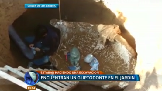 Sierra de los Padres: encuentran restos de un gliptodonte en el jardín