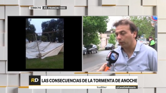 Se reportaron árboles y columnas caídas en distintos puntos de la ciudad por los intensos vientos de la madrugada