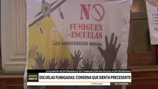 Niños y docentes intoxicados por fumigaciones: un fallo de la Justicia sienta precedentes para estos casos
