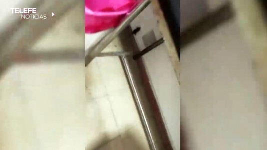 Denuncian la presencia de roedores en el Hospital Carrasco