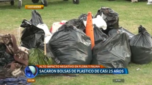 Alarma por la gran cantidad de residuos en el río Paraná