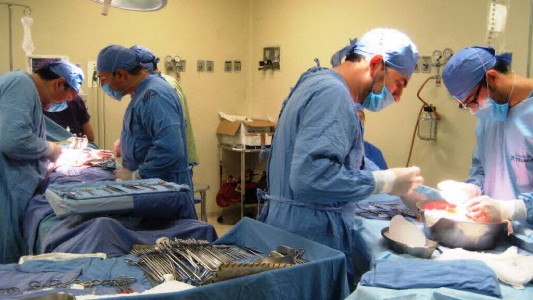 Santa Fe fue la provincia con más donantes de órganos a nivel nacional en 2017