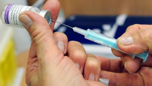 Detectaron el primer caso importado de fiebre amarilla en Argentina