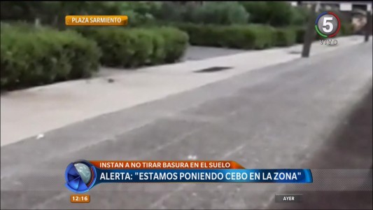 Ratas en Plaza Sarmiento: piden colaboración de la gente en el mantenimiento del espacio público