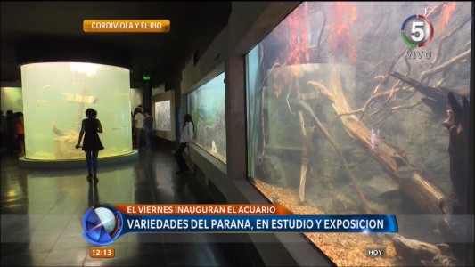Este viernes abre el Acuario Río Paraná