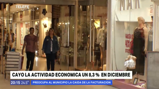 La actividad económica local cayó un 8,3% en diciembre