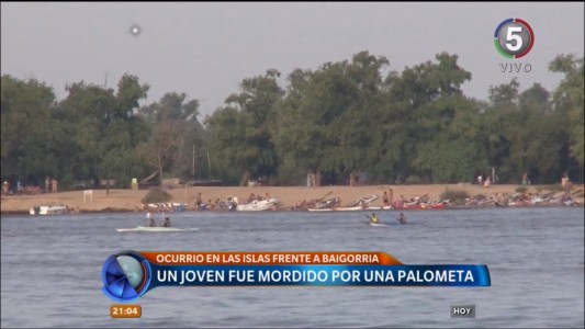 Un joven fue mordido por una palometa en las islas frente a Baigorria