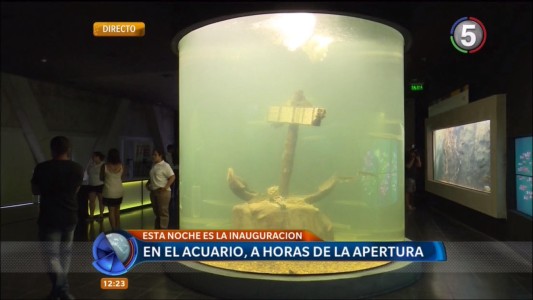 El Acuario del Río Paraná abre sus puertas al público este viernes