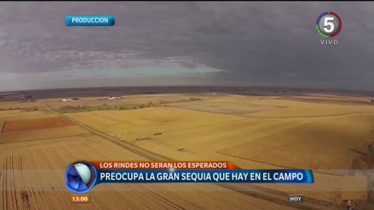 El campo atraviesa una sequía histórica con grandes pérdidas para el sector