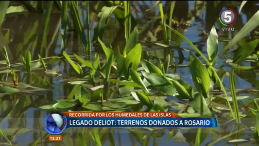 Legado Deliot: más de 1700 hectáreas preservadas para el ecosistema