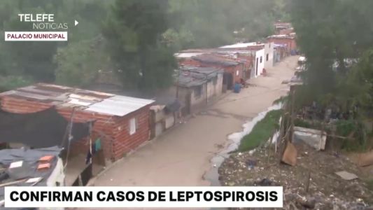 Confirman seis casos de leptospirosis en Rosario