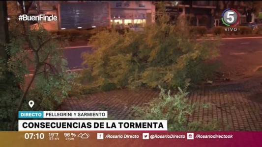 Tormentas severas durante la madrugada: vientos de 90 kilómetros por hora, árboles caídos y voladuras de techos