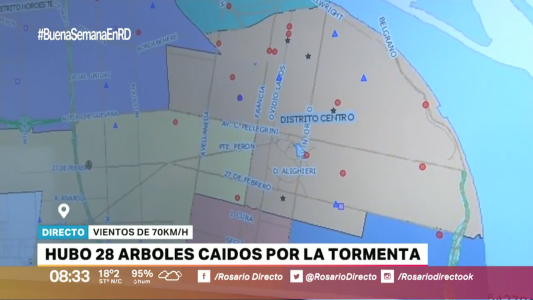 Consecuencias de la tormenta: el viento derribó árboles y columnas
