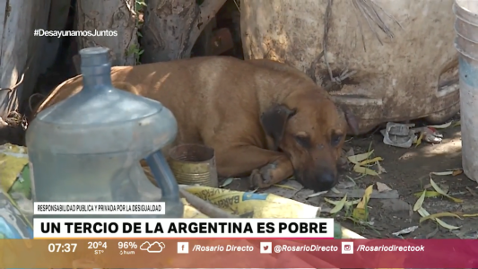 Cifras alarmantes: según la UCA un tercio de la Argentina es pobre