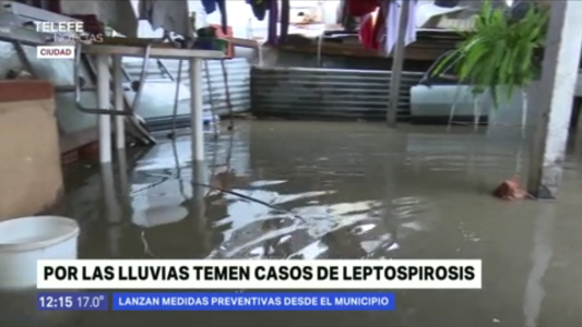 Temen casos de leptospirosis: el municipio lanza medidas preventivas