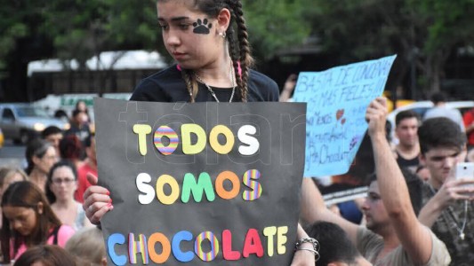 Maltrato animal: condenaron a un año de prisión condicional al  acusado de despellejar al perro Chocolate