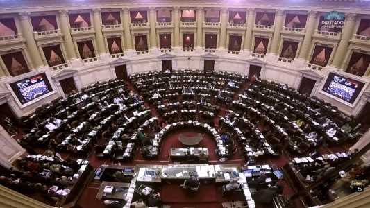 Despenalización del aborto: cómo continúa el proceso tras el debate y votación en Diputados
