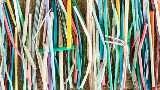 "Guerra contra las pajitas": piden que se prohíban los sorbetes de plástico