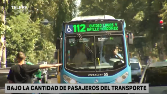 Desde el municipio admiten que cayó la cantidad de usuarios del transporte urbano