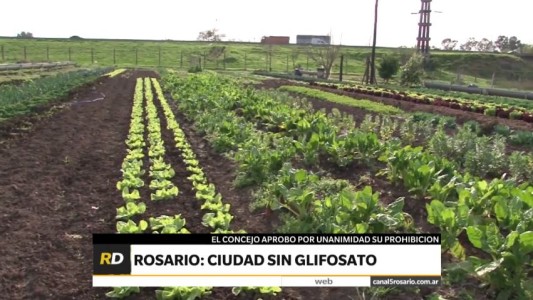 El Concejo aprobó por unanimidad la prohibición del uso de glifosato en Rosario