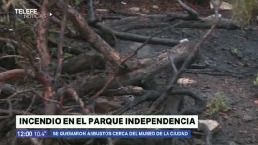 Incendio en el Parque Independencia