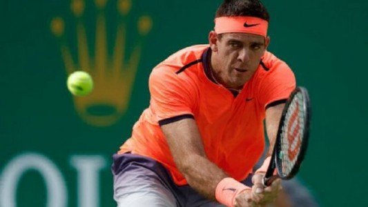 Del Potro fue derrotado por Goffin y se retiró pronto del ATP de Shanghai