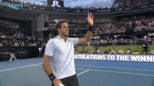 Del potro venció a David Ferrer y jugará su primera final del año