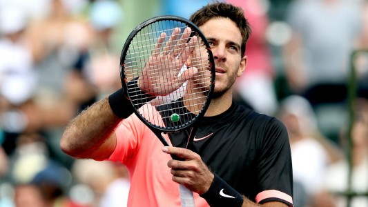 Del Potro quedó a tres partidos de ser el número 3 del mundo