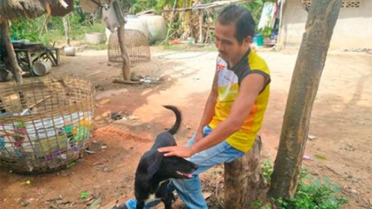 Ping Pong, el perro que rescató a un bebé enterrado vivo