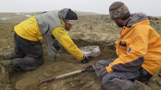 Hallaron restos de un reptil gigante en la Antártida