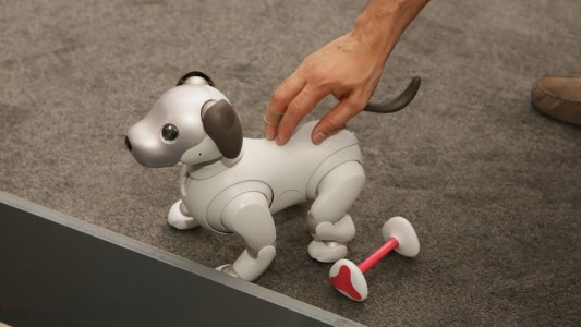 Aibo, el perro robot que arrasa y agota las ventas anticipadas