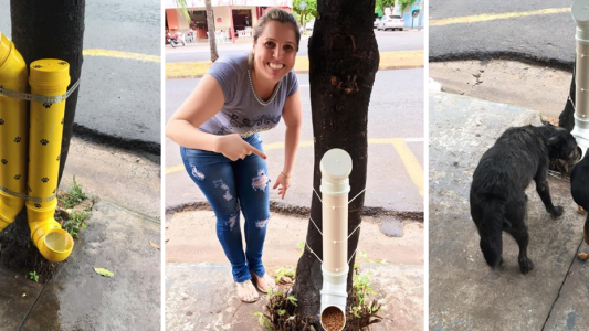El ingenioso invento para alimentar a perros de la calle que se volvió viral