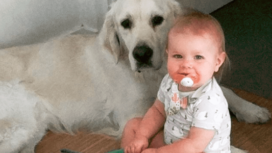 Pusieron una cámara en el cuarto de su beba y descubrieron cómo se fugaba cada noche de su cama