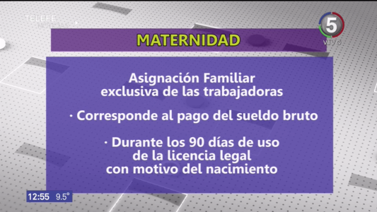 Micro de Anses: asignación familiar por maternidad