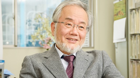 Nobel de Medicina para un japonés por revelar un proceso clave de las células