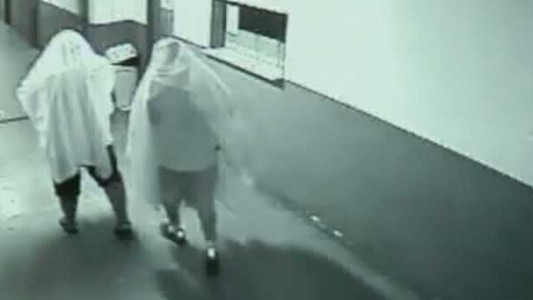 Brasil: detienen a dos exfuncionarios que robaron en un municipio disfrazados de fantasmas