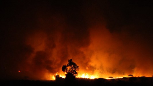 Chile afronta el mayor incendio forestal de su historia, con cuatro mil evacuados