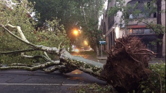 Unas 23.000 personas sin luz, evacuados y destrozos en Montevideo por el temporal