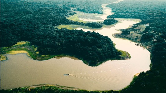 Cada minuto, la destrucción del Amazonas avanza a un estadio y medio de fútbol