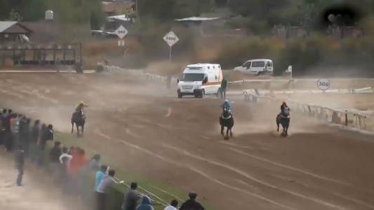 Una yegua murió en plena carrera por la gran cantidad de drogas que le suministraron