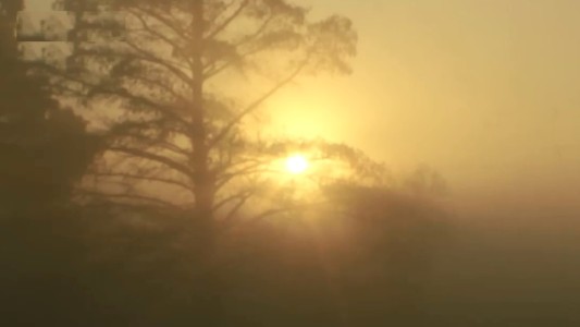 Conducción y baja visibilidad: el peligro de transitar con niebla y humo