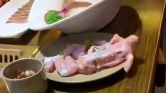 El extraño caso del pollo que estaba tan crudo que se escapó del plato