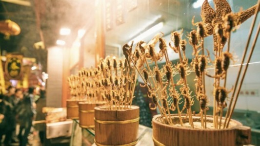 Descubren los beneficios de comer saltamontes, grillos o gusanos de seda