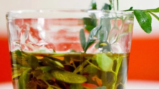 Día de la Pachamama: tres traguitos de caña con ruda ¡y salud!