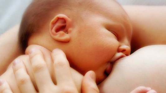 Semana de la Lactancia: solo seis de cada diez bebés de hasta dos meses son amamantados