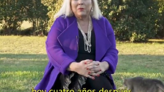 En el Día Internacional del Gato, uno se roba la atención en el último spot de campaña de Carrió